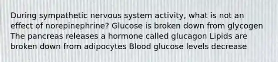 During sympathetic nervous system activity, what is not an effect of norepinephrine? Glucose is broken down from glycogen The pancreas releases a hormone called glucagon Lipids are broken down from adipocytes Blood glucose levels decrease