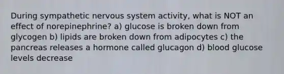 During sympathetic nervous system activity, what is NOT an effect of norepinephrine? a) glucose is broken down from glycogen b) lipids are broken down from adipocytes c) the pancreas releases a hormone called glucagon d) blood glucose levels decrease