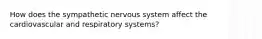 How does the sympathetic nervous system affect the cardiovascular and respiratory systems?