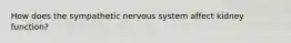 How does the sympathetic nervous system affect kidney function?