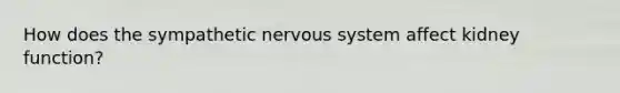 How does the sympathetic nervous system affect kidney function?