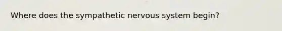 Where does the sympathetic nervous system begin?