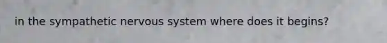 in the sympathetic nervous system where does it begins?