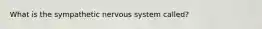 What is the sympathetic nervous system called?