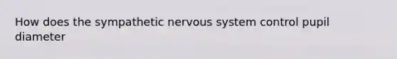 How does the sympathetic nervous system control pupil diameter