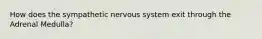 How does the sympathetic nervous system exit through the Adrenal Medulla?