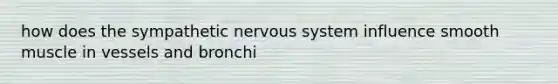 how does the sympathetic nervous system influence smooth muscle in vessels and bronchi