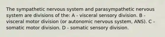 The sympathetic nervous system and parasympathetic nervous system are divisions of the: A - visceral sensory division. B - visceral motor division (or autonomic nervous system, ANS). C - somatic motor division. D - somatic sensory division.