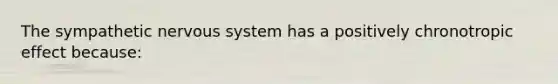 The sympathetic nervous system has a positively chronotropic effect because: