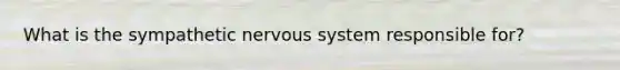 What is the sympathetic nervous system responsible for?