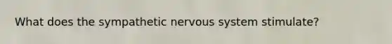 What does the sympathetic nervous system stimulate?