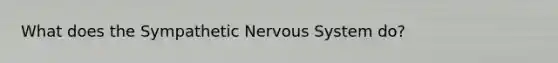 What does the Sympathetic Nervous System do?