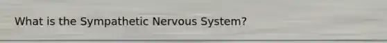 What is the Sympathetic Nervous System?