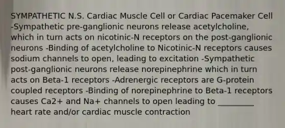 SYMPATHETIC N.S. Cardiac Muscle Cell or Cardiac Pacemaker Cell -Sympathetic pre-ganglionic neurons release acetylcholine, which in turn acts on nicotinic-N receptors on the post-ganglionic neurons -Binding of acetylcholine to Nicotinic-N receptors causes sodium channels to open, leading to excitation -Sympathetic post-ganglionic neurons release norepinephrine which in turn acts on Beta-1 receptors -Adrenergic receptors are G-protein coupled receptors -Binding of norepinephrine to Beta-1 receptors causes Ca2+ and Na+ channels to open leading to _________ heart rate and/or <a href='https://www.questionai.com/knowledge/kIevX4JuTD-cardiac-muscle-contraction' class='anchor-knowledge'>cardiac muscle contraction</a>