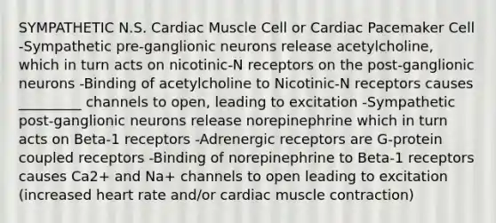 SYMPATHETIC N.S. Cardiac Muscle Cell or Cardiac Pacemaker Cell -Sympathetic pre-ganglionic neurons release acetylcholine, which in turn acts on nicotinic-N receptors on the post-ganglionic neurons -Binding of acetylcholine to Nicotinic-N receptors causes _________ channels to open, leading to excitation -Sympathetic post-ganglionic neurons release norepinephrine which in turn acts on Beta-1 receptors -Adrenergic receptors are G-protein coupled receptors -Binding of norepinephrine to Beta-1 receptors causes Ca2+ and Na+ channels to open leading to excitation (increased heart rate and/or cardiac muscle contraction)