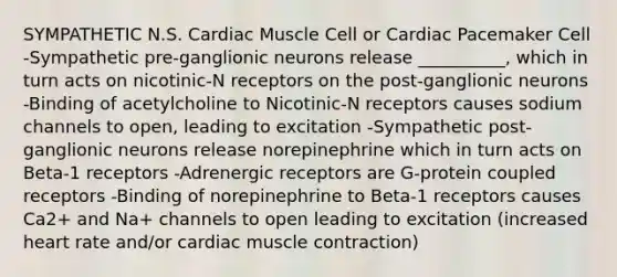 SYMPATHETIC N.S. Cardiac Muscle Cell or Cardiac Pacemaker Cell -Sympathetic pre-ganglionic neurons release __________, which in turn acts on nicotinic-N receptors on the post-ganglionic neurons -Binding of acetylcholine to Nicotinic-N receptors causes sodium channels to open, leading to excitation -Sympathetic post-ganglionic neurons release norepinephrine which in turn acts on Beta-1 receptors -Adrenergic receptors are G-protein coupled receptors -Binding of norepinephrine to Beta-1 receptors causes Ca2+ and Na+ channels to open leading to excitation (increased heart rate and/or cardiac muscle contraction)