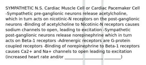 SYMPATHETIC N.S. Cardiac Muscle Cell or Cardiac Pacemaker Cell -Sympathetic pre-ganglionic neurons release acetylcholine, which in turn acts on nicotinic-N receptors on the post-ganglionic neurons -Binding of acetylcholine to Nicotinic-N receptors causes sodium channels to open, leading to excitation -Sympathetic post-ganglionic neurons release norepinephrine which in turn acts on Beta-1 receptors -Adrenergic receptors are G-protein coupled receptors -Binding of norepinephrine to Beta-1 receptors causes Ca2+ and Na+ channels to open leading to excitation (increased heart rate and/or _________ _________ ________)