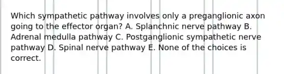 Which sympathetic pathway involves only a preganglionic axon going to the effector organ? A. Splanchnic nerve pathway B. Adrenal medulla pathway C. Postganglionic sympathetic nerve pathway D. Spinal nerve pathway E. None of the choices is correct.