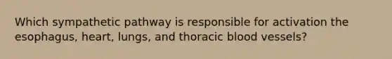 Which sympathetic pathway is responsible for activation the esophagus, heart, lungs, and thoracic blood vessels?