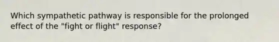 Which sympathetic pathway is responsible for the prolonged effect of the "fight or flight" response?