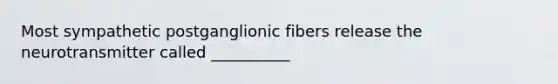 Most sympathetic postganglionic fibers release the neurotransmitter called __________