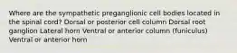 Where are the sympathetic preganglionic cell bodies located in the spinal cord? Dorsal or posterior cell column Dorsal root ganglion Lateral horn Ventral or anterior column (funiculus) Ventral or anterior horn