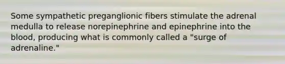 Some sympathetic preganglionic fibers stimulate the adrenal medulla to release norepinephrine and epinephrine into <a href='https://www.questionai.com/knowledge/k7oXMfj7lk-the-blood' class='anchor-knowledge'>the blood</a>, producing what is commonly called a "surge of adrenaline."