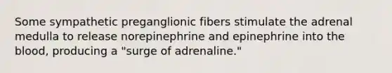 Some sympathetic preganglionic fibers stimulate the adrenal medulla to release norepinephrine and epinephrine into <a href='https://www.questionai.com/knowledge/k7oXMfj7lk-the-blood' class='anchor-knowledge'>the blood</a>, producing a "surge of adrenaline."