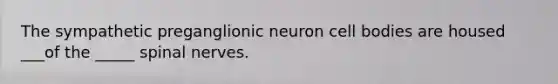 The sympathetic preganglionic neuron cell bodies are housed ___of the _____ <a href='https://www.questionai.com/knowledge/kyBL1dWgAx-spinal-nerves' class='anchor-knowledge'>spinal nerves</a>.