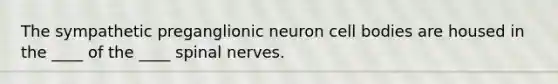 The sympathetic preganglionic neuron cell bodies are housed in the ____ of the ____ <a href='https://www.questionai.com/knowledge/kyBL1dWgAx-spinal-nerves' class='anchor-knowledge'>spinal nerves</a>.