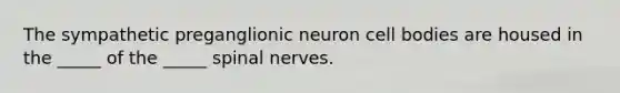 The sympathetic preganglionic neuron cell bodies are housed in the _____ of the _____ spinal nerves.