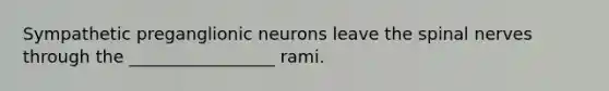 Sympathetic preganglionic neurons leave the <a href='https://www.questionai.com/knowledge/kyBL1dWgAx-spinal-nerves' class='anchor-knowledge'>spinal nerves</a> through the _________________ rami.