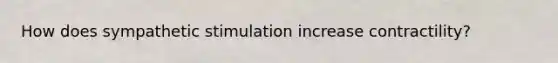 How does sympathetic stimulation increase contractility?