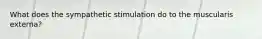 What does the sympathetic stimulation do to the muscularis externa?