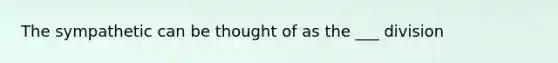 The sympathetic can be thought of as the ___ division