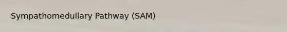 Sympathomedullary Pathway (SAM)