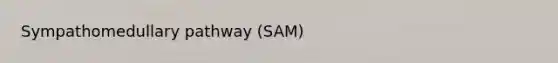 Sympathomedullary pathway (SAM)