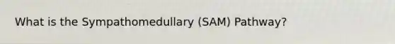 What is the Sympathomedullary (SAM) Pathway?