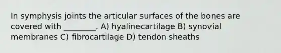 In symphysis joints the articular surfaces of the bones are covered with ________. A) hyalinecartilage B) synovial membranes C) fibrocartilage D) tendon sheaths