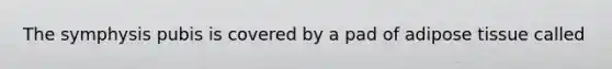 The symphysis pubis is covered by a pad of adipose tissue called