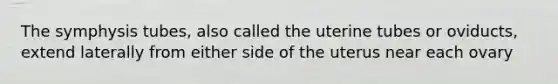 The symphysis tubes, also called the uterine tubes or oviducts, extend laterally from either side of the uterus near each ovary