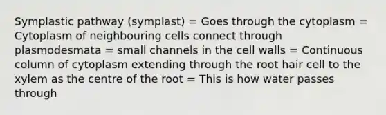 Symplastic pathway (symplast) = Goes through the cytoplasm = Cytoplasm of neighbouring cells connect through plasmodesmata = small channels in the cell walls = Continuous column of cytoplasm extending through the root hair cell to the xylem as the centre of the root = This is how water passes through