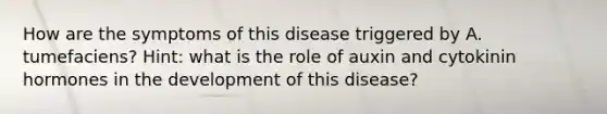 How are the symptoms of this disease triggered by A. tumefaciens? Hint: what is the role of auxin and cytokinin hormones in the development of this disease?