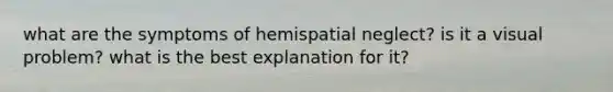 what are the symptoms of hemispatial neglect? is it a visual problem? what is the best explanation for it?