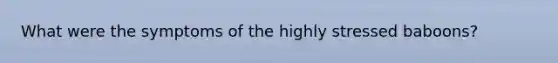 What were the symptoms of the highly stressed baboons?