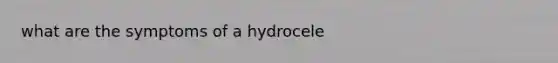 what are the symptoms of a hydrocele