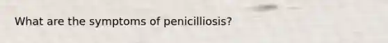 What are the symptoms of penicilliosis?