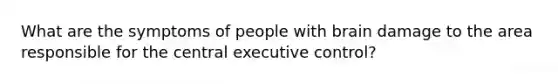 What are the symptoms of people with brain damage to the area responsible for the central executive control?