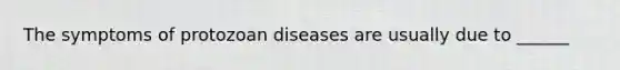 The symptoms of protozoan diseases are usually due to ______