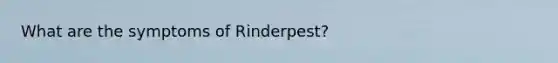 What are the symptoms of Rinderpest?